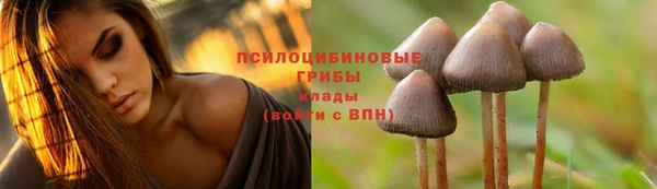 скорость Арсеньев