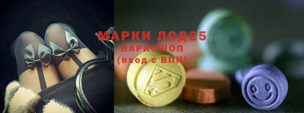 спайс Аркадак