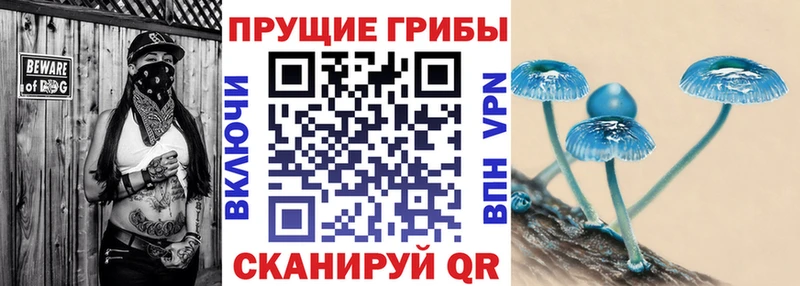 как найти наркотики  Усмань  Псилоцибиновые грибы мицелий 